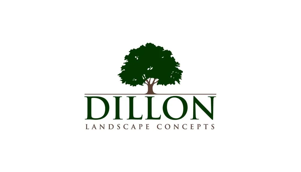 Custom landscaping services for year-round maintenance in San Antonio, TX by Dillon Landscape Concepts