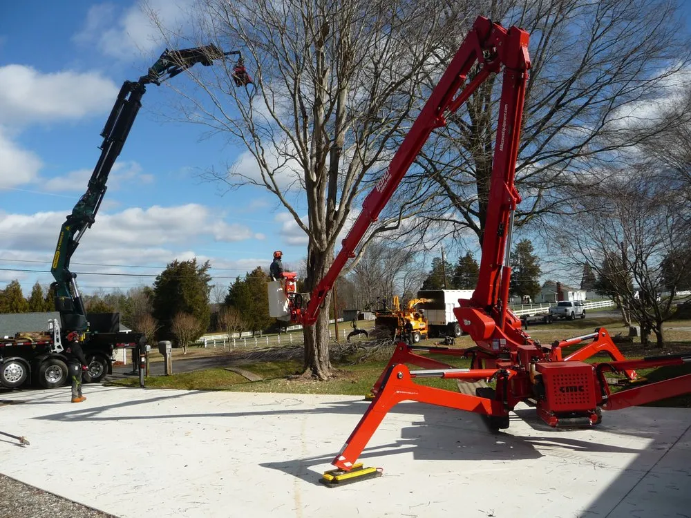 Custom landscaping services for homes in Colfax, NC by Dillon Tree Service