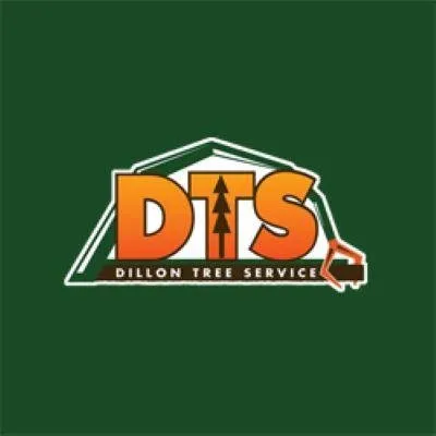Top-rated landscaping services for homes across Colfax, NC - Dillon Tree Service