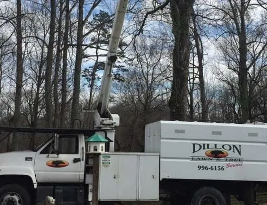 Trusted outdoor landscaping for homes in Colfax, NC by Dillon Tree Service