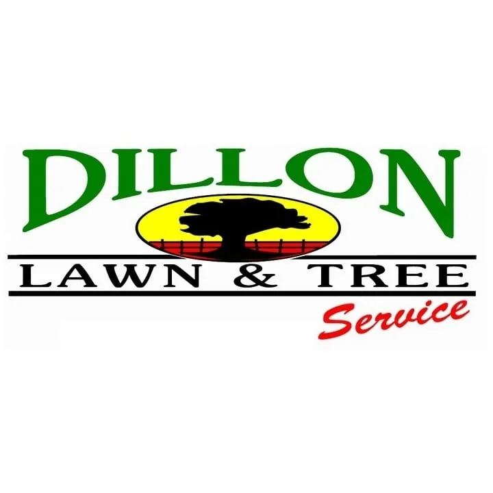 Reliable residential landscaping in Colfax, NC - Dillon Tree Service