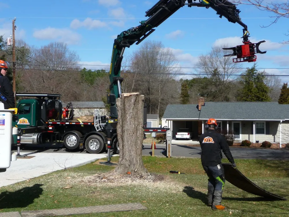 Professional residential landscaping with custom design across Colfax, NC - Dillon Tree Service