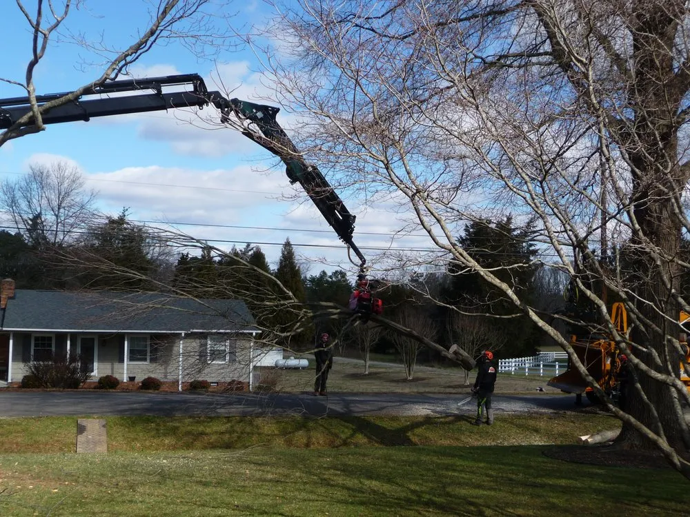 Custom lawn care service for homes across Colfax, NC - Dillon Tree Service