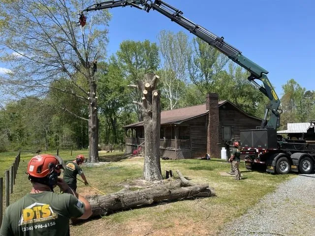 Top-rated lawn care service for homes across Colfax, NC - Dillon Tree Service