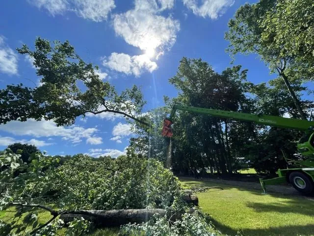 Trusted garden landscaping experts serving Colfax, NC - Dillon Tree Service