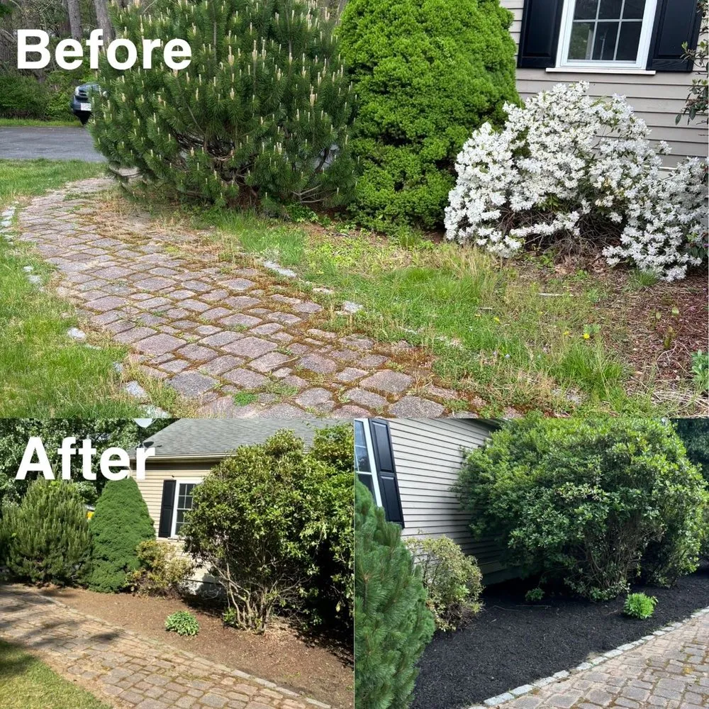 Professional landscaping services in Franklin, MA - Dillon’s Designs Landscaping
