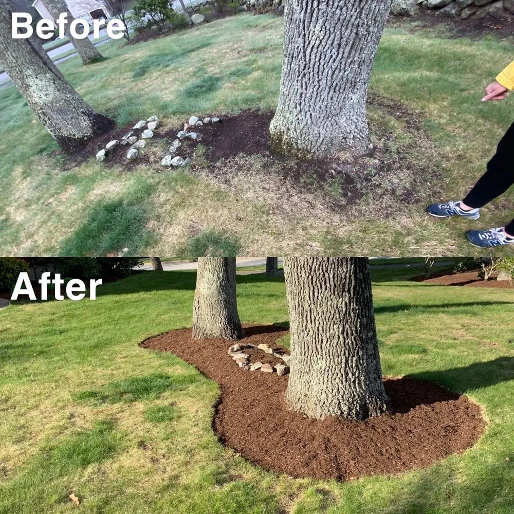 Reliable yard cleanup service with custom design across Franklin, MA - Dillon’s Designs Landscaping