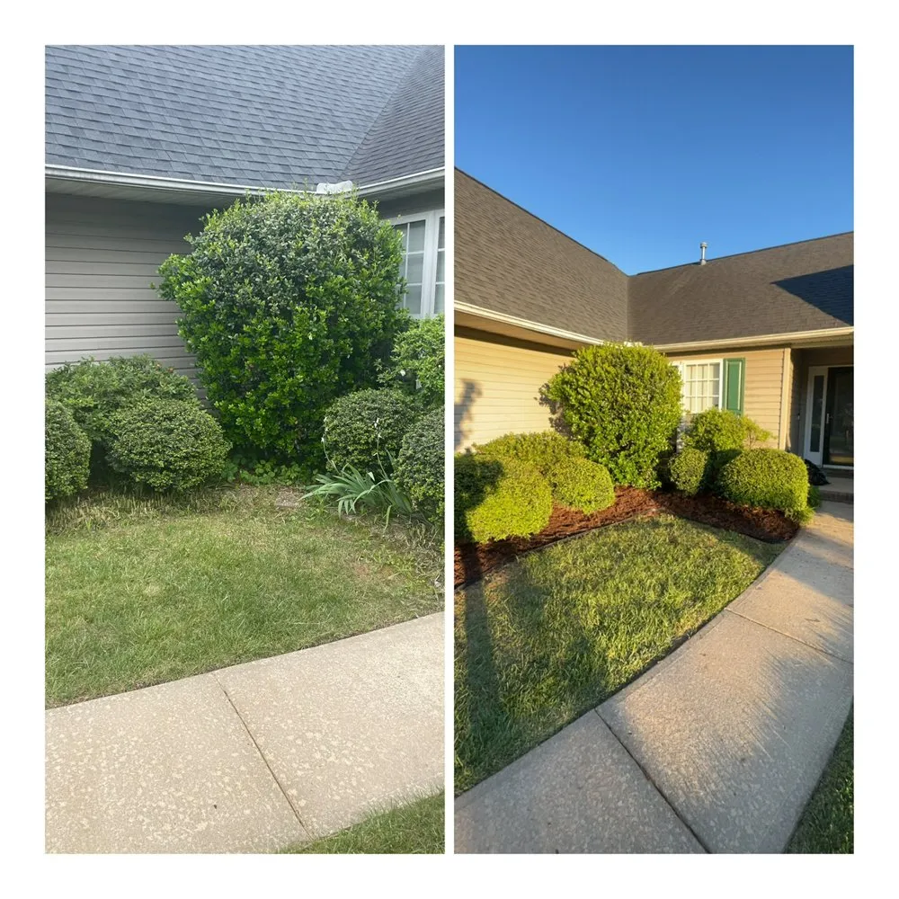 Custom yard maintenance experts serving Canton, NC - Dillons Landscape Services