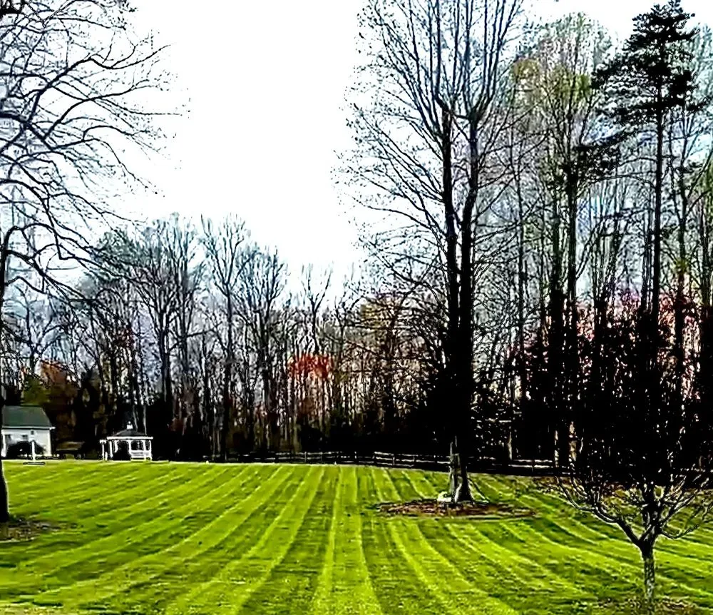 Custom lawn mowing service for year-round maintenance in Sophia, NC by Dillon's Landscaping Service