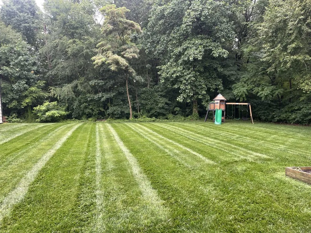 Affordable residential landscaping in Sophia, NC - Dillon's Landscaping Service