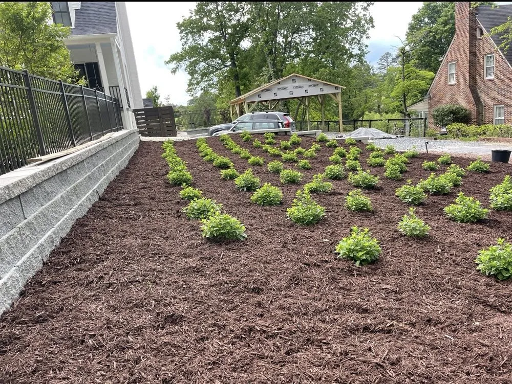 Professional landscape installation in Sophia, NC - Dillon's Landscaping Service