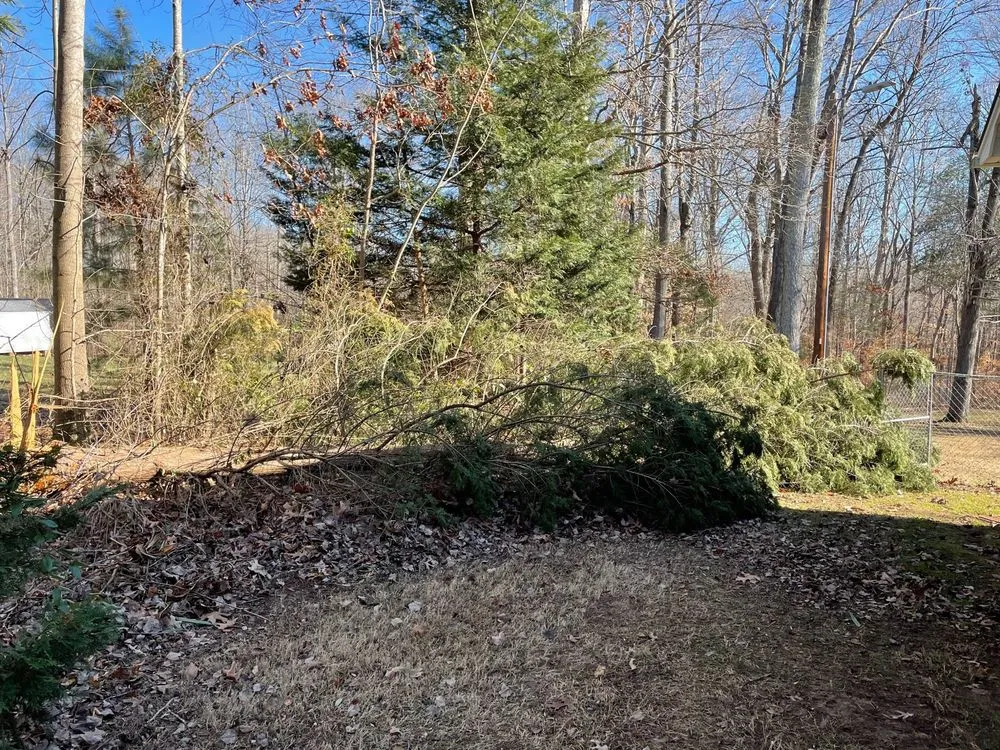 Top-rated outdoor landscaping in Sophia, NC - Dillon's Landscaping Service