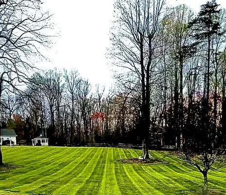 Dillon's Landscaping Service Logo