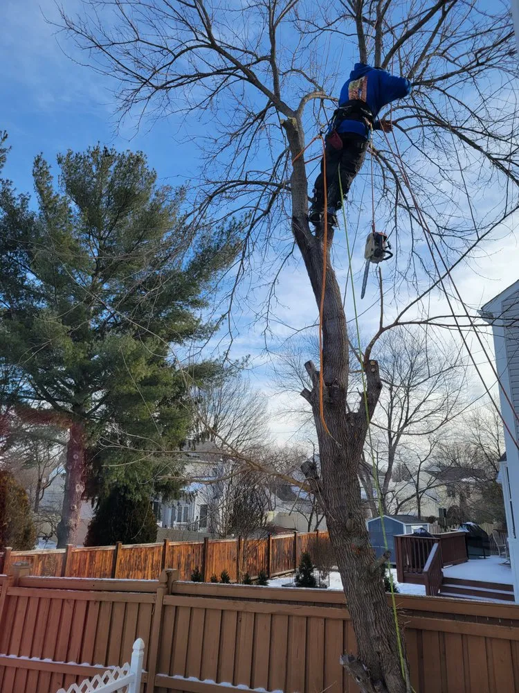 Expert lawn mowing service in Rixeyville, VA - Dillon's Outdoor Maintenance