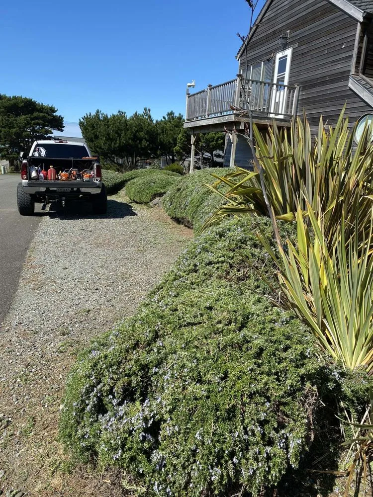 Trusted yard maintenance for beautiful yards across Oregon City, OR - Dillon’s Yard-Care Handyman Work