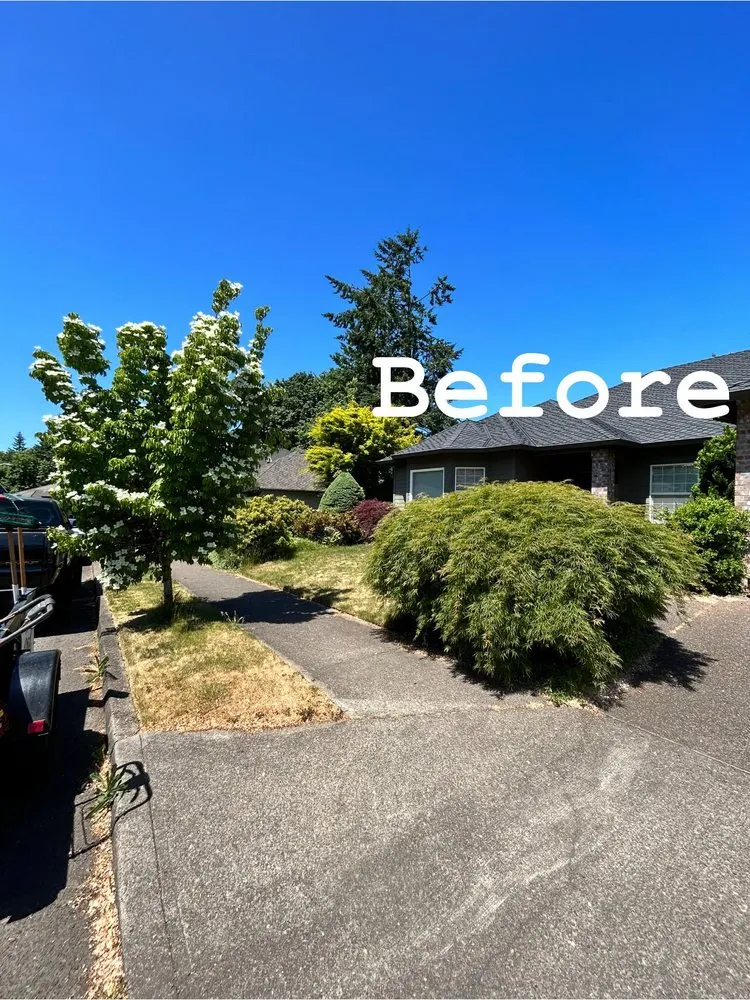 Affordable residential landscaping near you in Oregon City, OR by Dillon’s Yard-Care Handyman Work