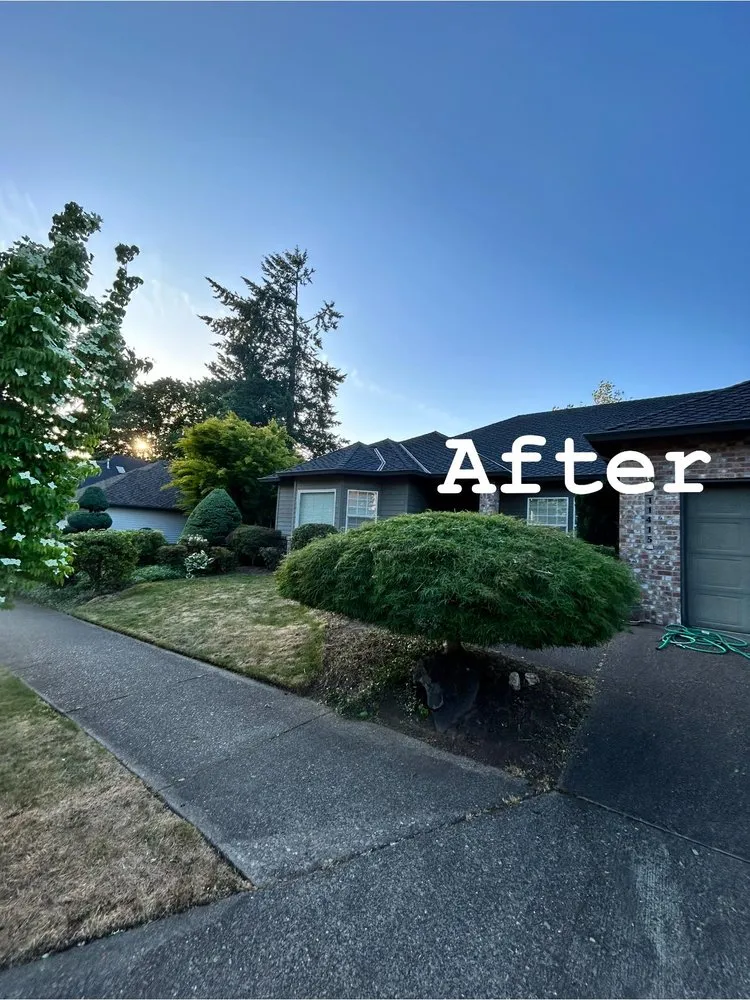 Expert landscape design experts serving Oregon City, OR - Dillon’s Yard-Care Handyman Work