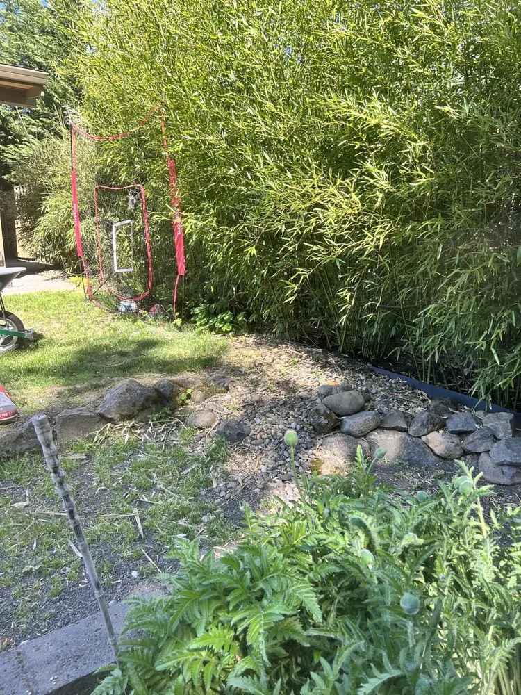 Expert landscape installation in Oregon City, OR - Dillon’s Yard-Care Handyman Work