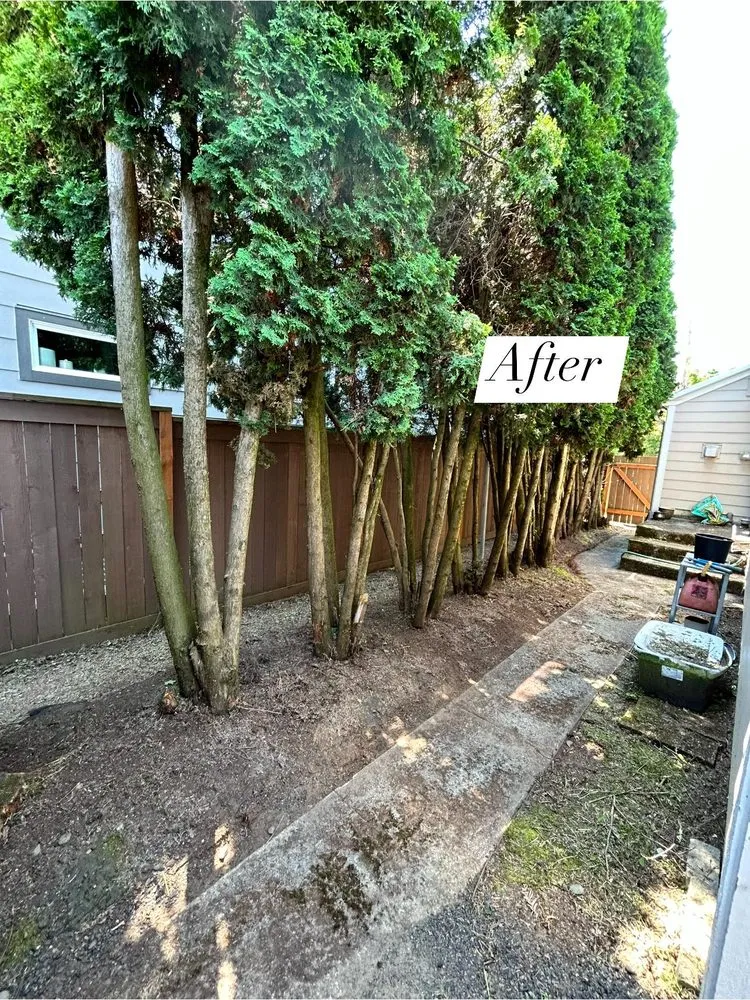 Professional outdoor landscaping for residential properties across Oregon City, OR - Dillon’s Yard-Care Handyman Work