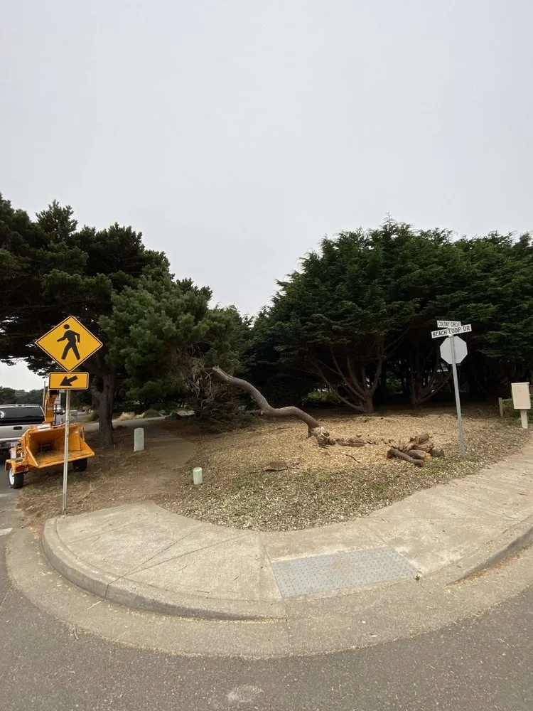 Trusted landscaping services for outdoor upgrades in Oregon City, OR by Dillon’s Yard-Care Handyman Work