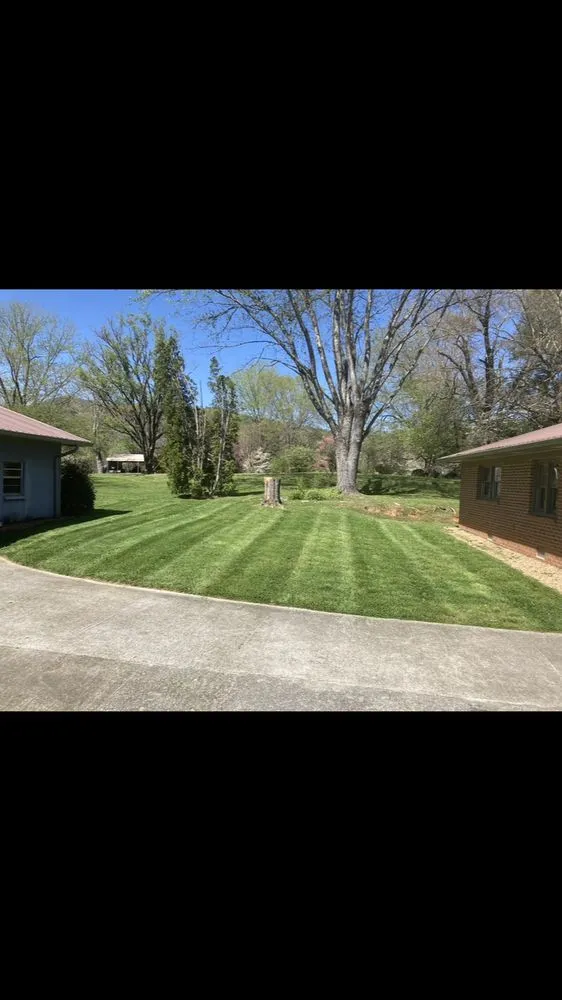 Professional landscape design in Lakemont, GA by Dills Lawn Care & Property Maintenance