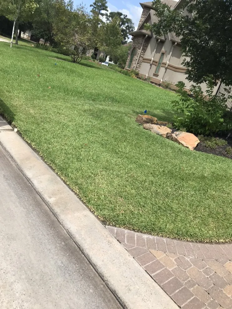 Expert outdoor landscaping in Conroe, TX - Dilmer Quintanilla Landscaping Services