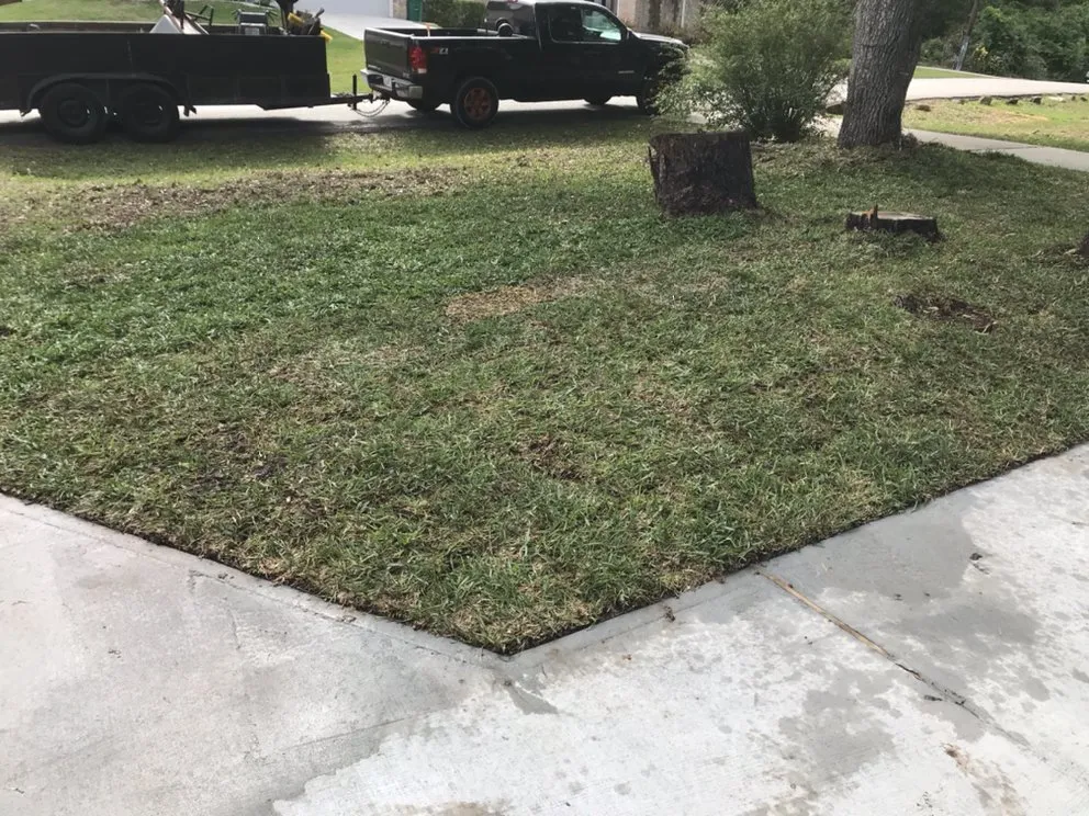 Affordable residential landscaping in Conroe, TX by Dilmer Quintanilla Landscaping Services