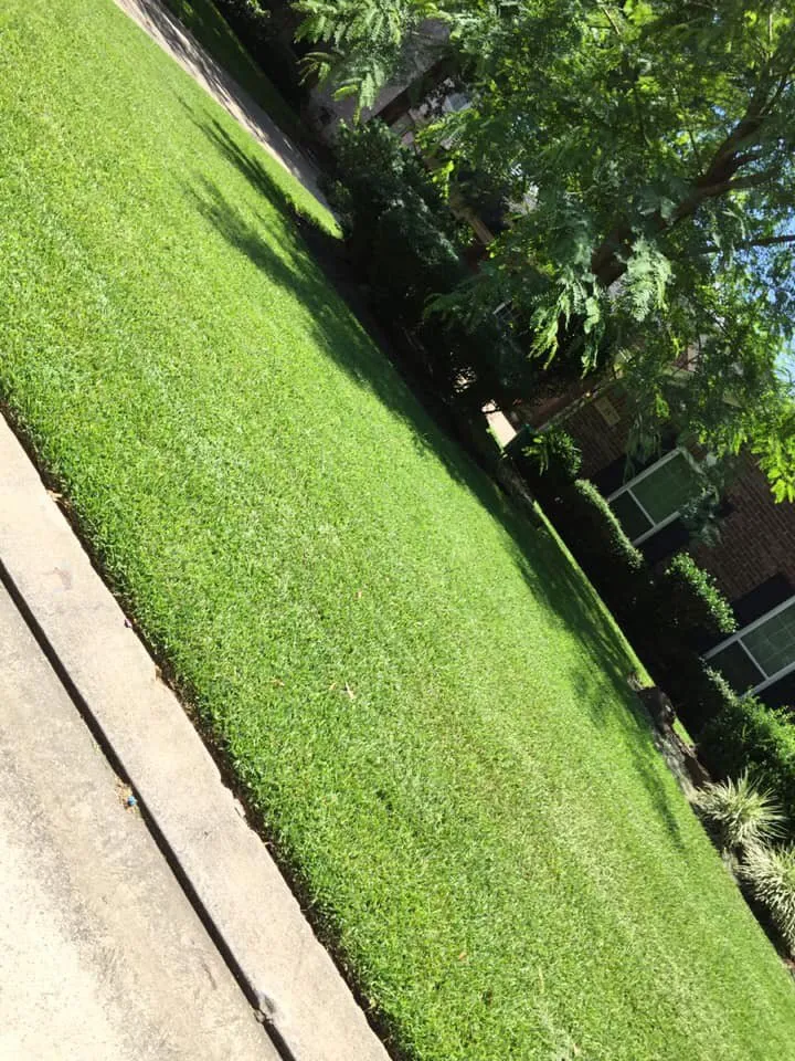 Expert landscape design experts serving Conroe, TX - Dilmer Quintanilla Landscaping Services