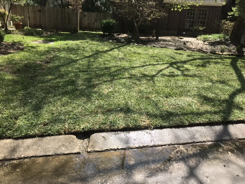 Professional landscaping services for residential properties across Conroe, TX - Dilmer Quintanilla Landscaping Services