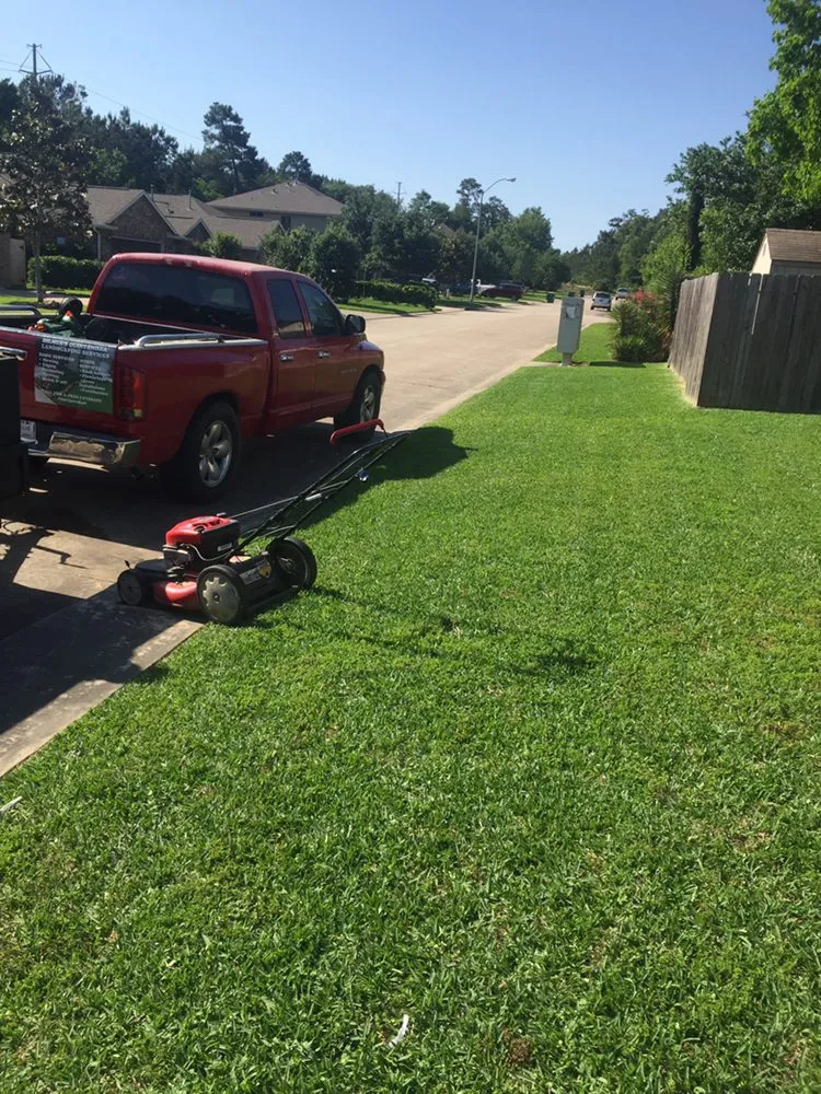 Professional yard cleanup service in Conroe, TX by Dilmer Quintanilla Landscaping Services