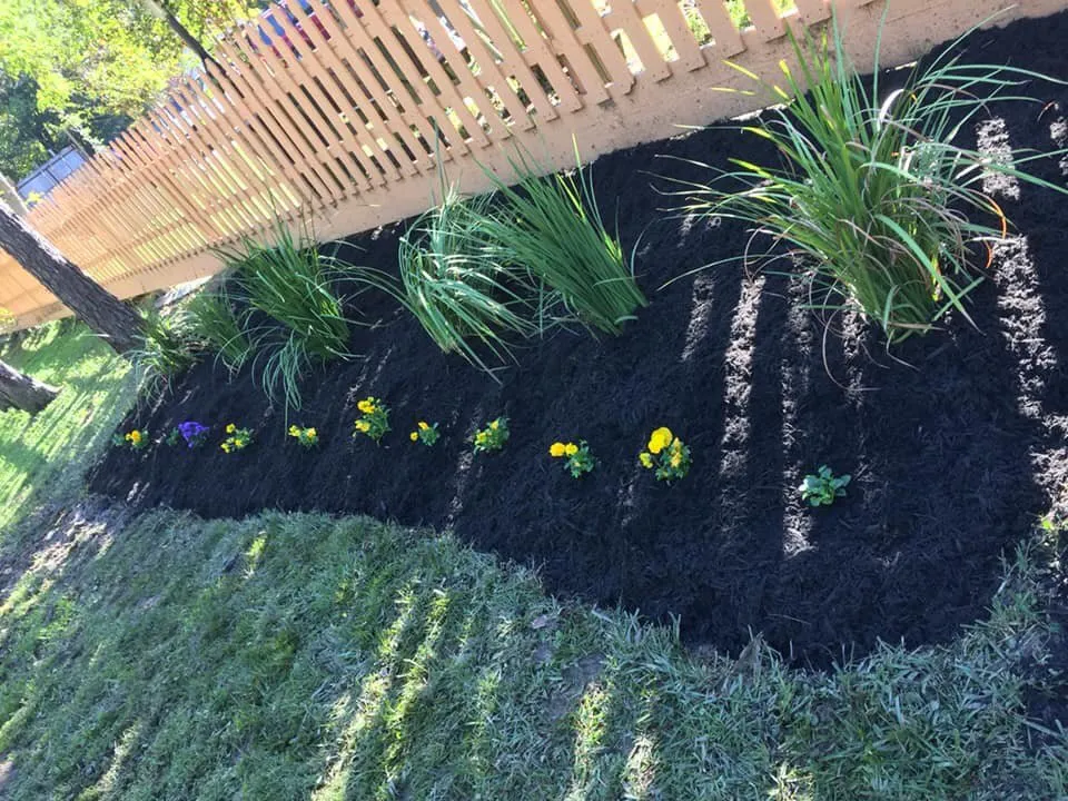 Trusted residential landscaping experts serving Conroe, TX - Dilmer Quintanilla Landscaping Services