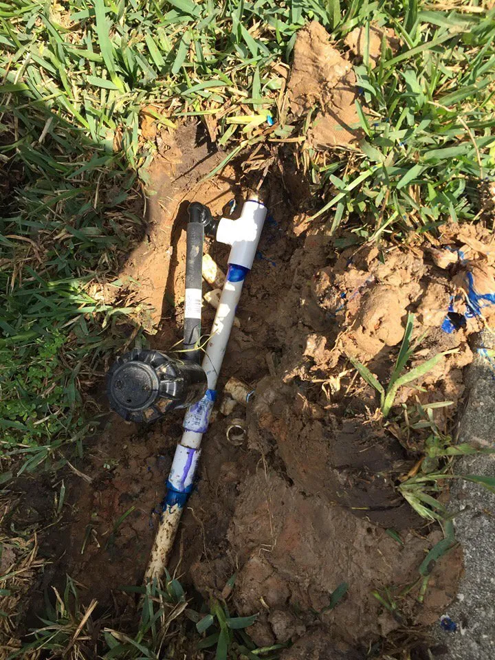 Expert lawn mowing service experts serving Conroe, TX - Dilmer Quintanilla Landscaping Services