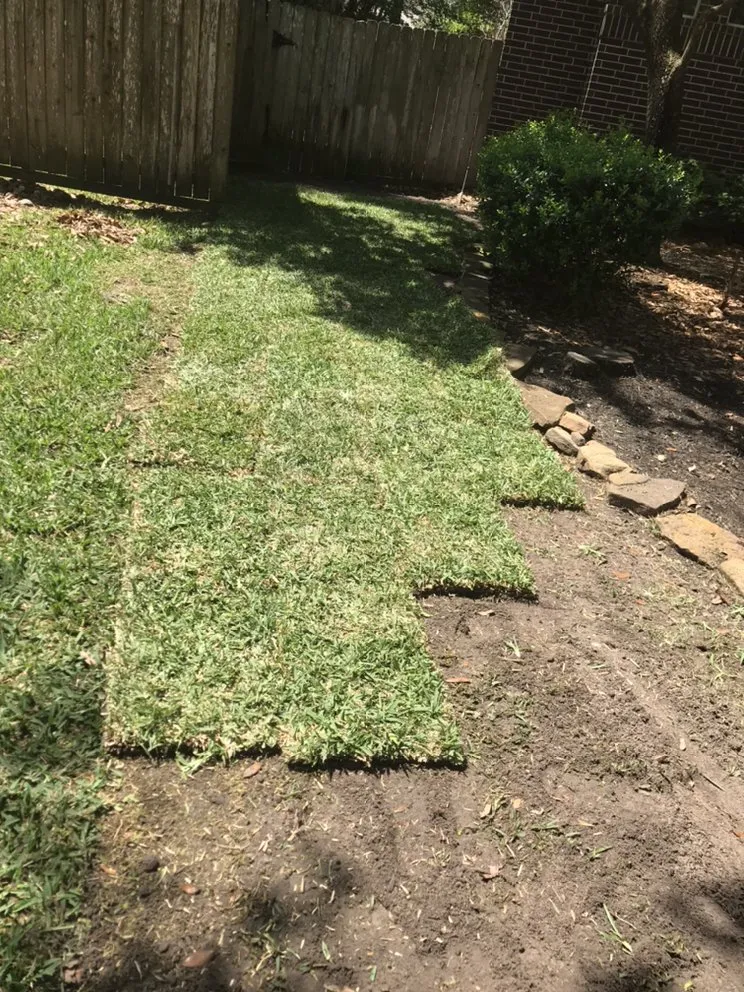 Local yard maintenance experts serving Conroe, TX - Dilmer Quintanilla Landscaping Services