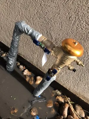 Dilmer Quintanilla Landscaping Services Logo