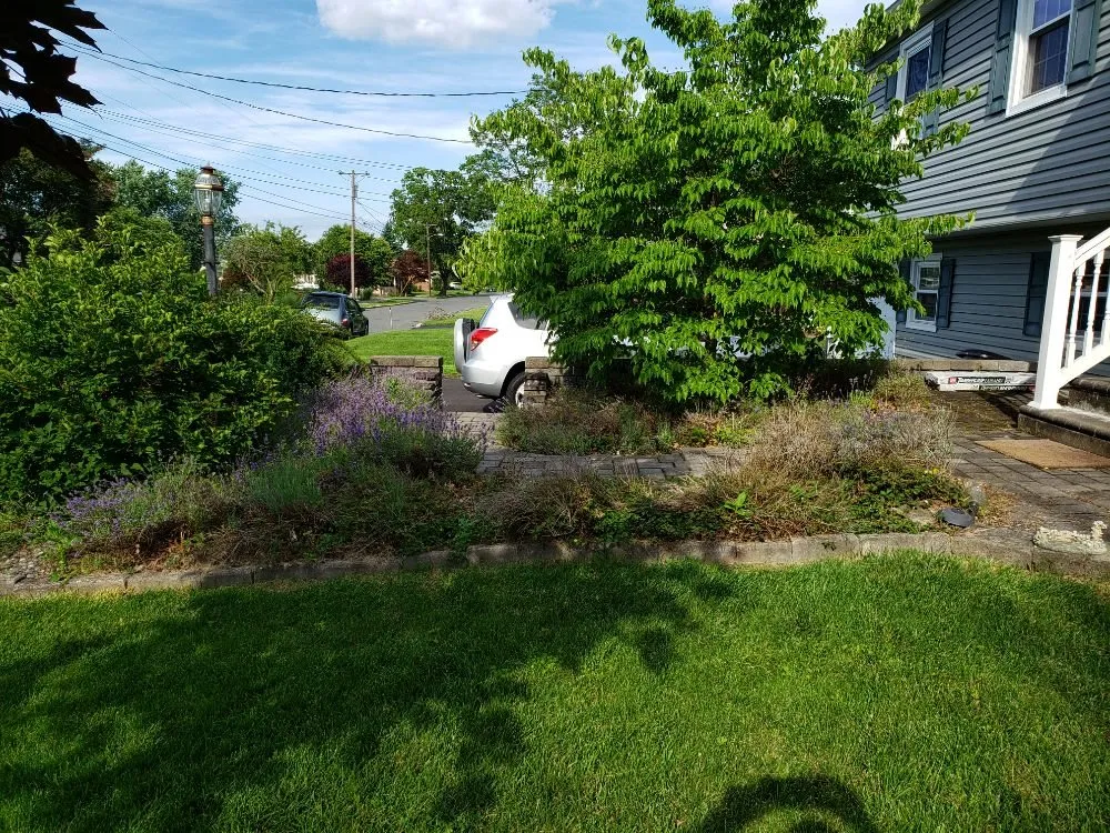 Professional residential landscaping for residential properties across Alpha, NJ - Dilts Landscaping