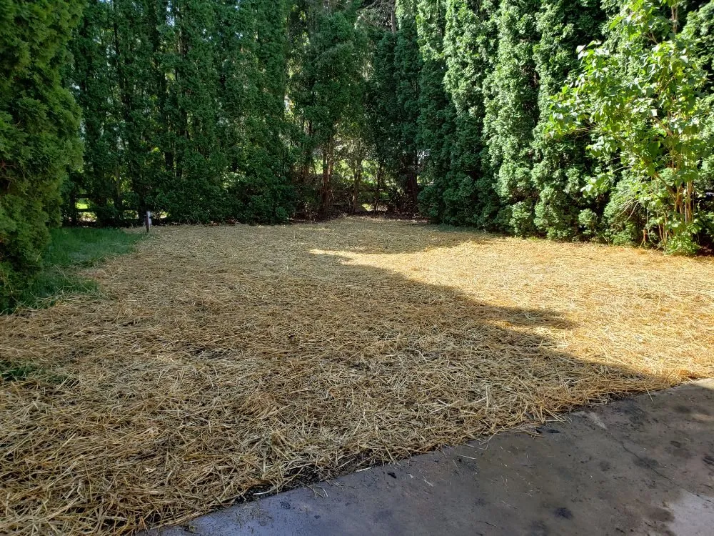 Trusted lawn mowing service in Alpha, NJ - Dilts Landscaping