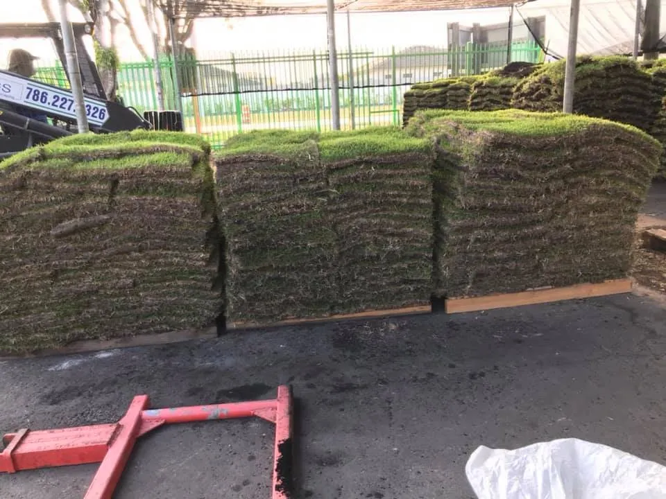 Affordable residential landscaping in Miami, FL by Dima Landscape Services