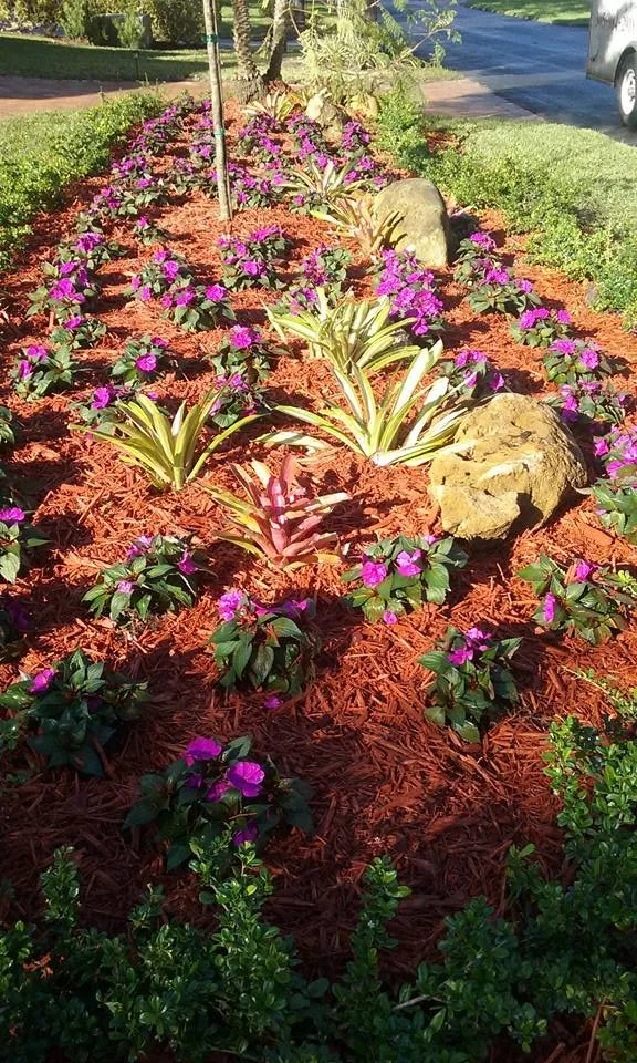 Affordable landscape design in Miami, FL by Dima Landscape Services