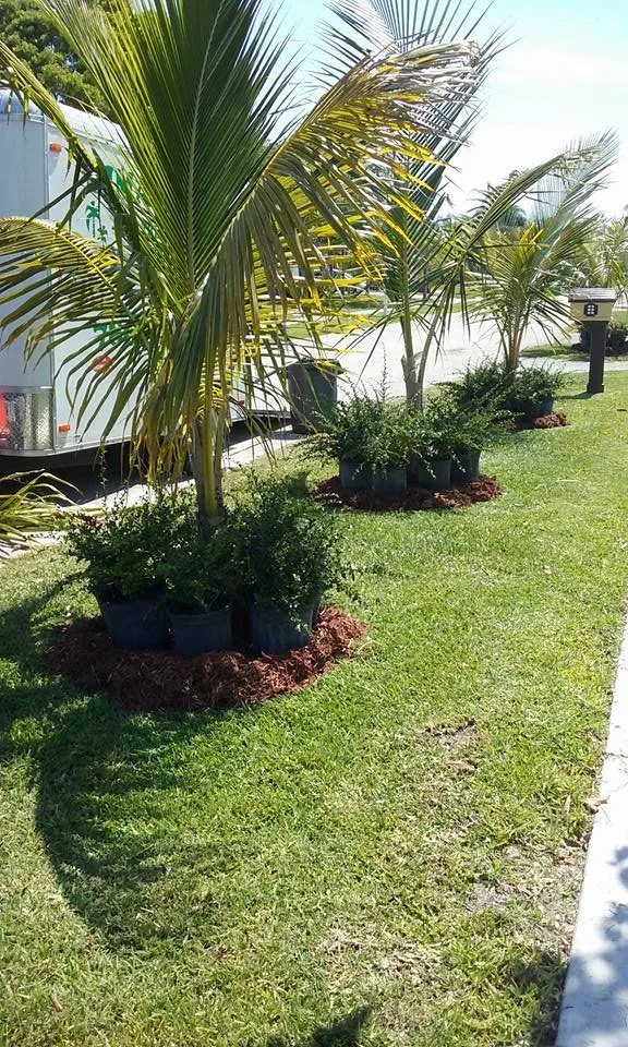 Local lawn care service in Miami, FL - Dima Landscape Services