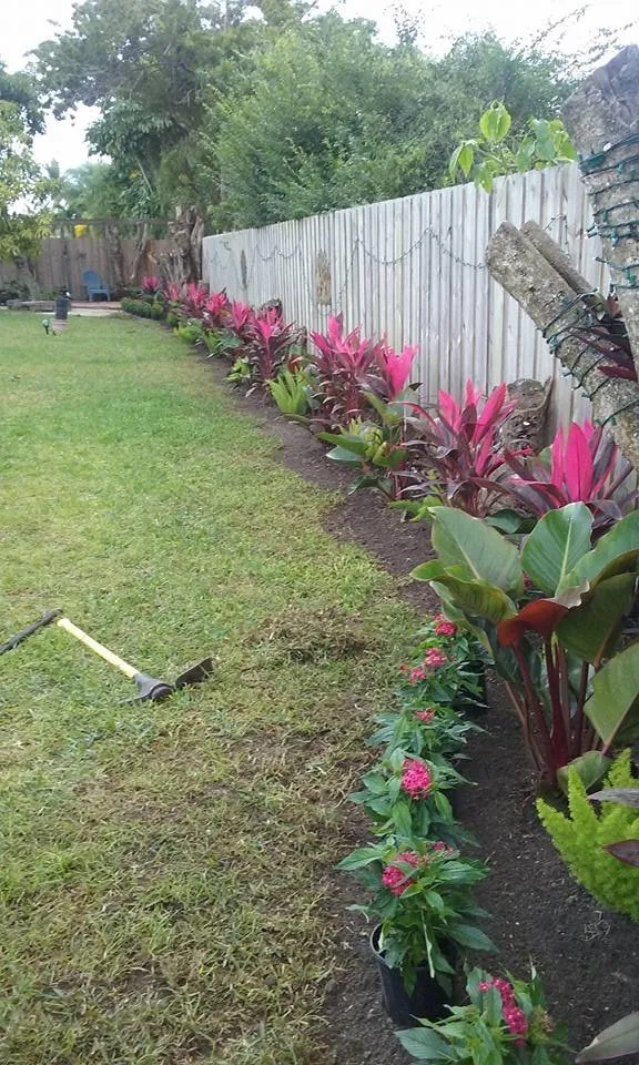 Reliable garden landscaping experts serving Miami, FL - Dima Landscape Services