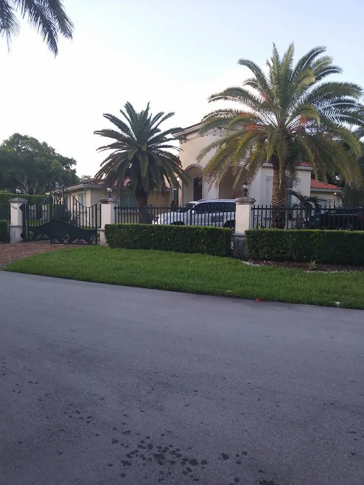 Reliable landscape design in Miami, FL - Dima Landscape Services