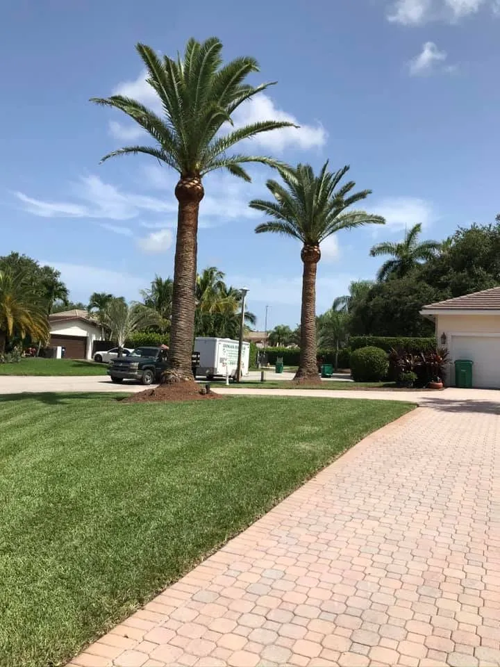 Affordable residential landscaping for year-round maintenance across Miami, FL - Dima Landscape Services