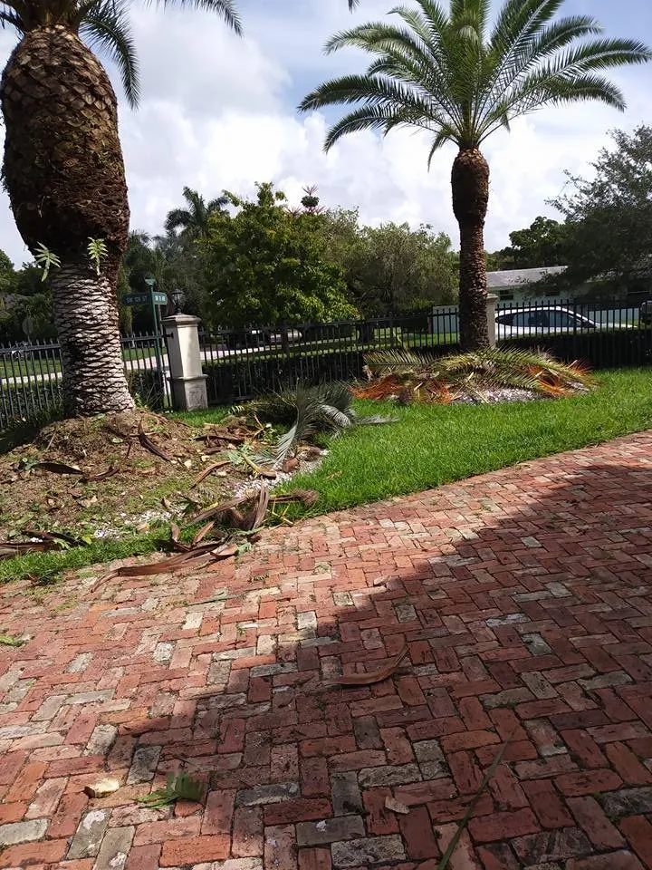 Affordable lawn mowing service for homes across Miami, FL - Dima Landscape Services