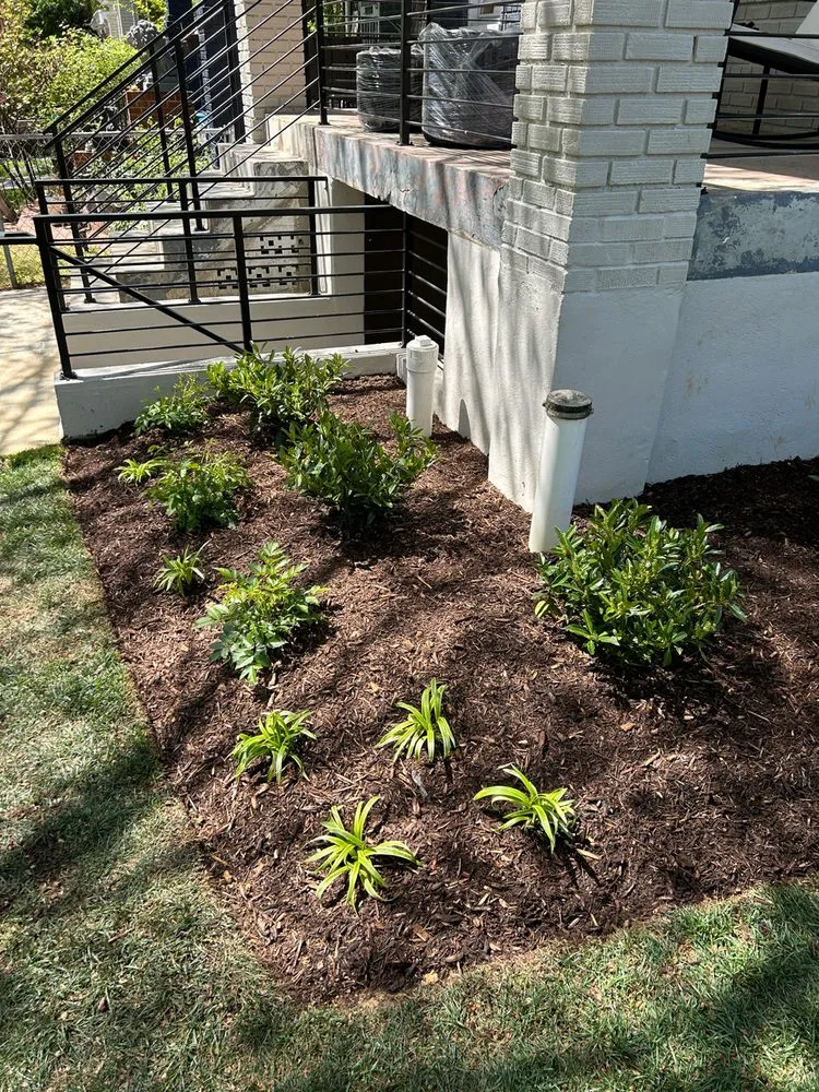 Professional lawn care service for residential properties in Dunkirk, MD by DiMarco Landscape & Gardening