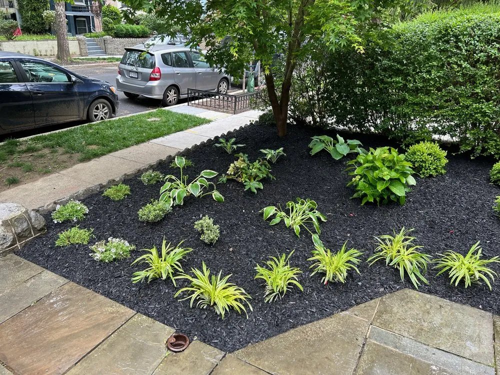 Reliable residential landscaping in Dunkirk, MD by DiMarco Landscape & Gardening