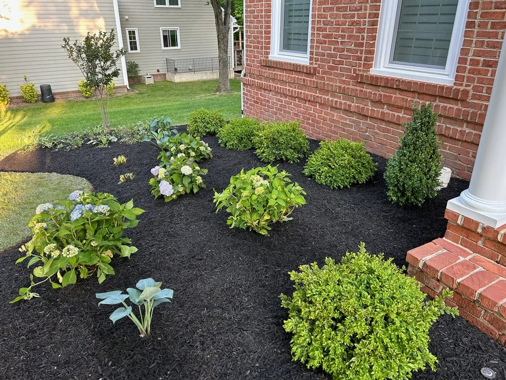 Reliable yard cleanup service near you in Dunkirk, MD by DiMarco Landscape & Gardening