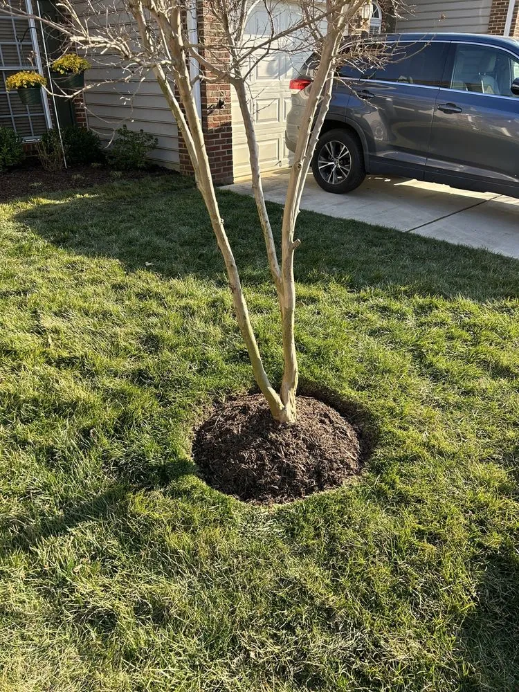 Reliable landscape design in Dunkirk, MD by DiMarco Landscape & Gardening