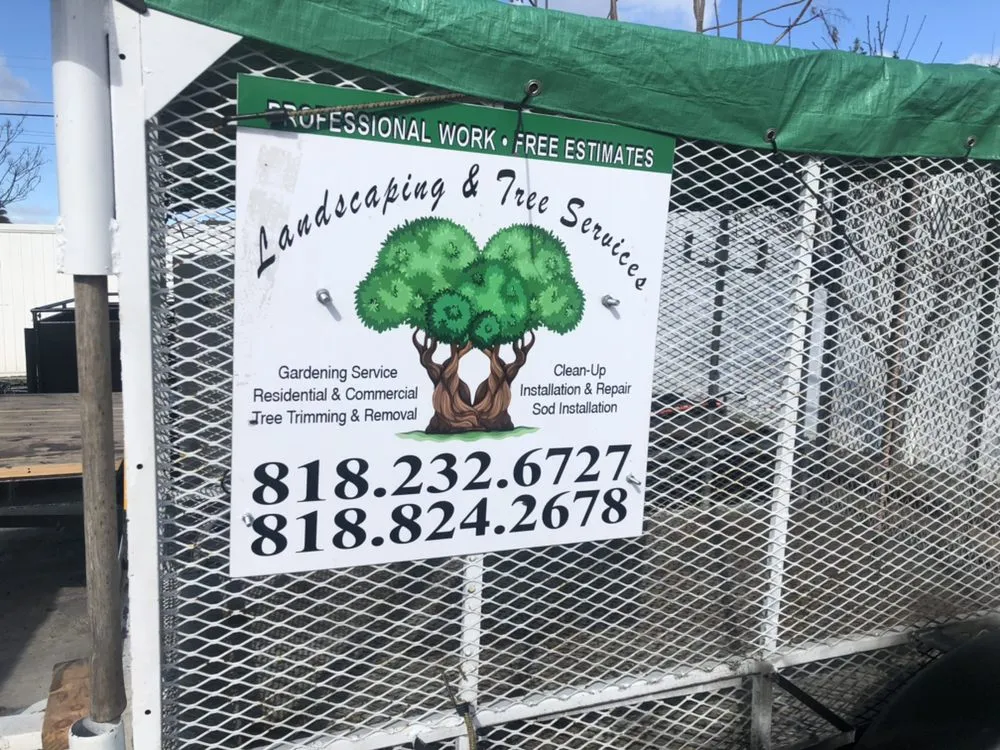 Expert residential landscaping for residential properties in Bloomington, CA by Dimas Landscaping