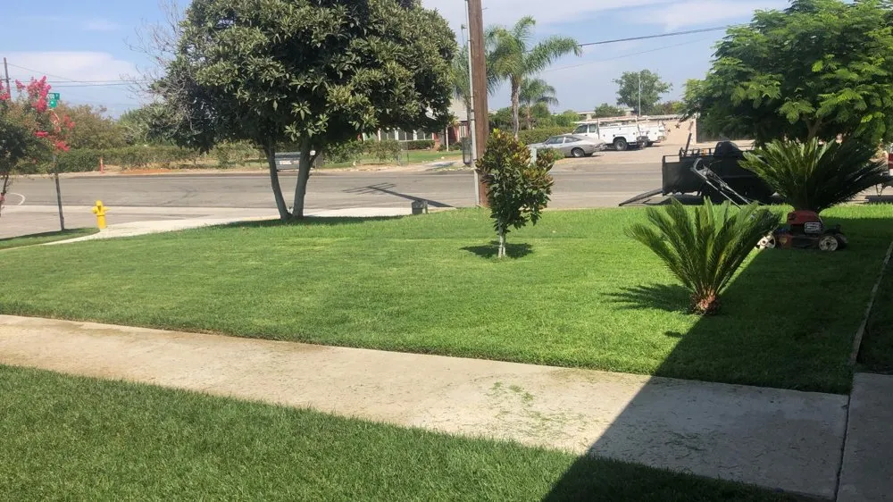 Expert yard maintenance with custom design across Bloomington, CA - Dimas Landscaping