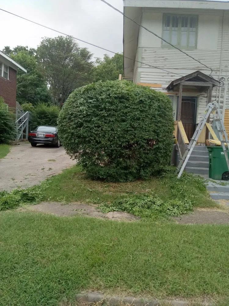 Professional landscaping services in Little Rock, AR - Dimas Lawn Care